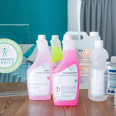 My Exclusive Italy - Beachfront & Private Sea Access סורנטו